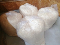 ���������E������